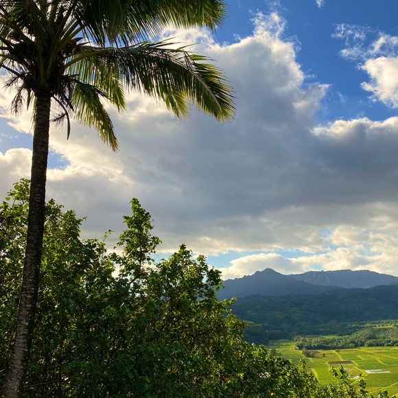 Meet your Posher, Stacey - Picture 1 of 1